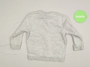 kurtka flek: Sweatshirt, Disney, 3-4 years, 98-104 cm, condition - Perfect — 3