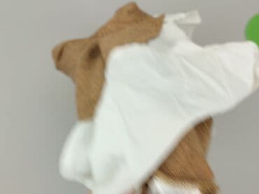 kurtka z rekawami swetrowymi: Laura Torelli, Sweter damski, rozmiar XS — 4