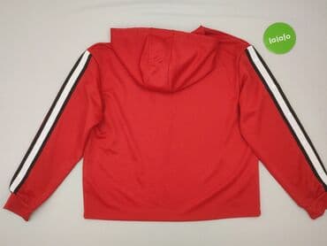 stradivarius bluzy: Terranova, Bluza z kapturem damska, rozmiar M — 4