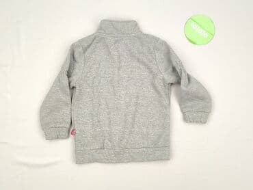 skarpety z twoim psem: Світшот, Coccodrillo, 3-4 р., 98-104 см, стан - Дуже гарний — 3