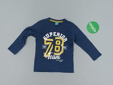 allegro sweterki azurowe: Sweatshirt, Little kids, 4-5 years, 104-110 cm, condition - Very good — 2