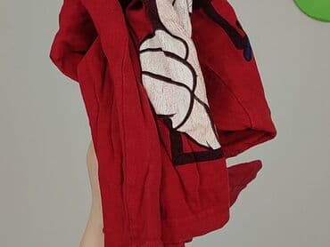 koszulka na 4 urodziny: Bluza, Disney, 2-3 lat, 92-98 cm, stan - Bardzo dobry — 5