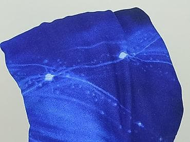 opus clothes: Bluzka damska, rozmiar XL — 6