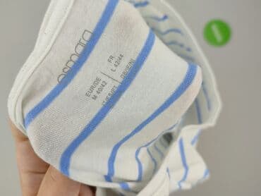 koszulka zeglarska: Esmara, Bluzka damska, M — 5