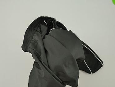 joggery camo: FB Sister, Спортивні штани жіночі, розмір S — 6