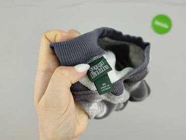 sweter w paski z serduszkiem: Wild Fable, Bluza damska
, XS — 4