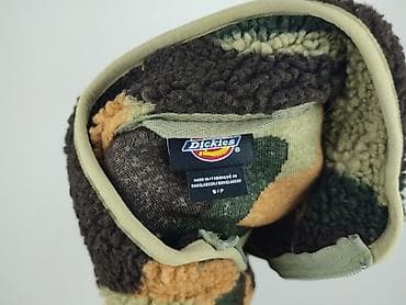polar pull and bear: Dickies, Polar dla mężczyzn, rozmiar S — 4