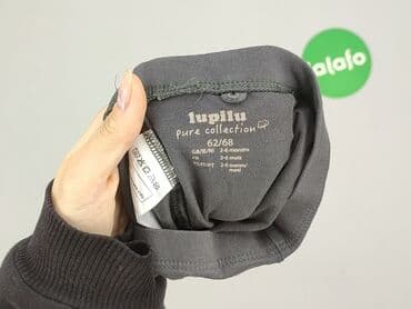 sweterki dla niemowląt allegro: Sweatpants, Lupilu, 3-6 months, condition - Very good — 4