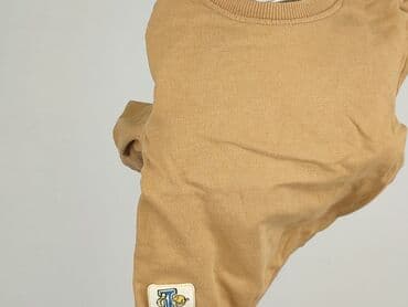 dopasowane sweterki: Sweatshirt, So cute, 9-12 months, condition - Good — 6