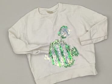 bluzki dziewczęce 164 allegro: Bluza, Zara, 4-5 lat, 110-116 cm, stan - Bardzo dobry — 1