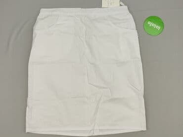 spódnice dla pań puszystych: Spódnica damska, rozmiar 3XL — 3