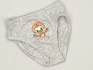 basicowe koszulki: Panties, 1.5-2 years, condition - Perfect — 1