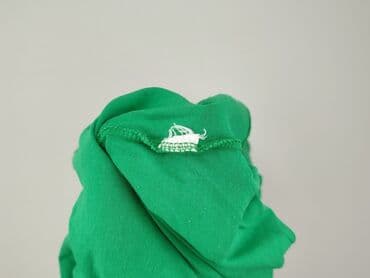 sklep internetowy z sukienkami dla puszystych: Dorothy Perkins, Sukienka damska, rozmiar 2XL — 6