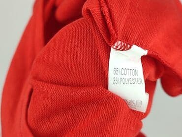 tatuum sweter mis uszatek: Sukienka damska, rozmiar XS — 6