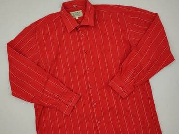 t shirty 4xl allegro: Women`s shirt, size XL (EU 42) — 1