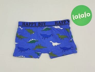 sukienka dla 6 latki: Panties, 2-3 years, condition - Very good — 3