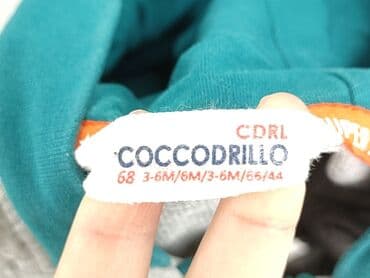 bluza wojan team allegro: Jacket, Coccodrillo, 3-6 months, condition - Very good — 4