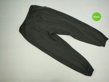 lidl kurtka puchowa: House, Спортивні штани для чоловіків, L — 3