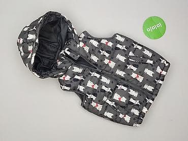 bluza marvel cropp: Kamizelka, Little kids, 4-5 lat, 104-110 cm, stan - Bardzo dobry — 2