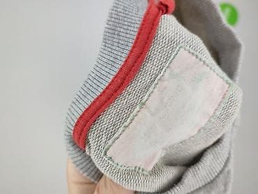 cedar wood state sweter: Cedar Wood State, Bluza damska
, rozmiar M — 4