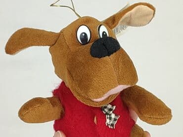 koszulka messiego: Mascot Dog, condition - Perfect — 4
