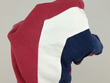 bluzki dalmatynczyk: Next, Koszulka dla mężczyzn, rozmiar M — 6