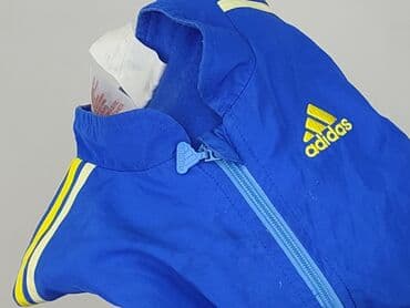 koszulki do cwiczen: Kurtka, Adidas, 6-9 miesięcy, stan - Bardzo dobry — 6