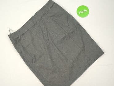 plisowane spódnice szara: Tailored, Spódnica damska, rozmiar 2XL — 2