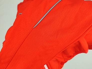 bomberka wiosenna: Crane, Kurtka przejściowa damska, rozmiar XL — 6