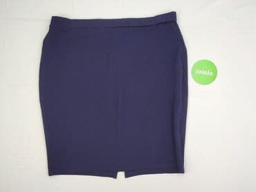 plisowane spódnice szara: Spódnica damska, rozmiar 4XL — 2