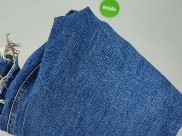 principles top: Zara, Jeansy damskie, L — 6