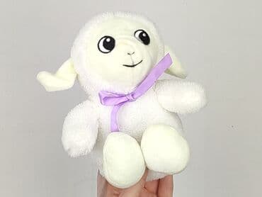 kapcie w ccc: Mascot condition - Very good — 5