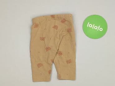 bielizna termoaktywna lidl crivit: Legginsy, Fox&Bunny, 1-3 m, stan - Bardzo dobry — 3