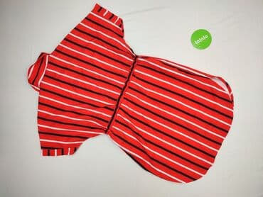 sukienki koszulowe damskie allegro: Сукня жіноча, розмір XS — 4