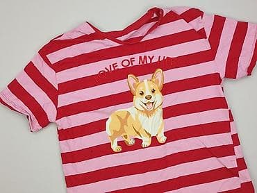 house pitbull: T-shirt damski, rozmiar M — 1