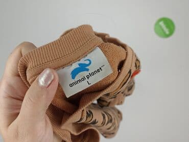 bluza z leniwcem: Bluza damska
, rozmiar L — 4