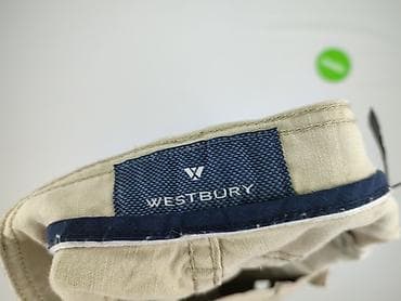 spodnie oversize: Męskie spodnie Westbury - Kolor: beżowy/piaskowy - Krój: klasyczny — 7