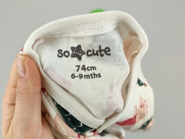 skarpety z twoim psem: Cobbler, So cute, 6-9 months, condition - Very good — 4