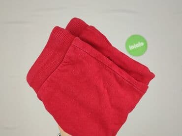 sukienka dla 6 latki: Sweatpants, Disney, 2-3 years, 98, condition - Very good — 5