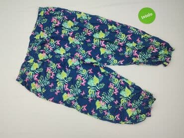 leginsy janina: Janina, Spodnie damskie, rozmiar 3XL — 2