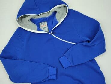 kurtki zimowe wyprzedaż reserved: Fasardi, Hoodie for men, 2XL — 1