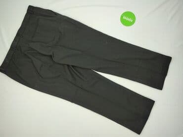 sweter s: Cedar Wood State, Spodnie garniturowe dla mężczyzn, rozmiar 2XL — 3