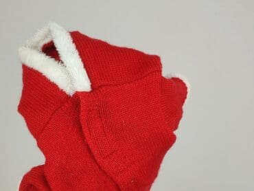 Czerwony sweter dla zwierząt, idealny na okres świąteczny. Wykonany z — 5