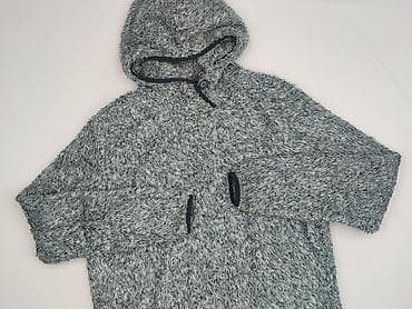 getry h: Crane, Bluza z kapturem dla mężczyzn, rozmiar M — 1