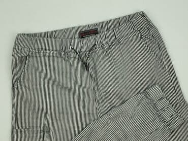 spodnie ze ściągaczem na dole: Tracksuit bottoms for men — 1