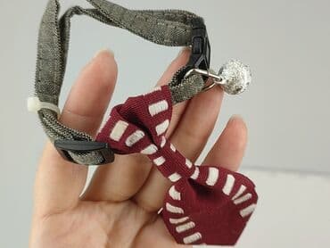 Zwierzęta: Używana obroża dla zwierząt w idealnym stanie. Obroża jest szara i — 4