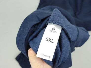 bluza just chill: GREY WOLF, Bluza dla mężczyzn, rozmiar 5XL — 5