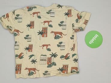 koszulki paliona allegro: T-shirt, Little kids, 5-6 years, 110-116 cm, condition - Very good — 3