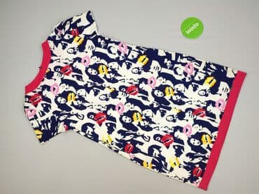 zara sukienka zebra: Sukienka damska, rozmiar 2XL — 3