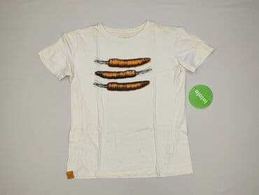 reserved koszulka w paski: T-shirt for men, M (EU 38), Sinsay, condition - Very good — 2